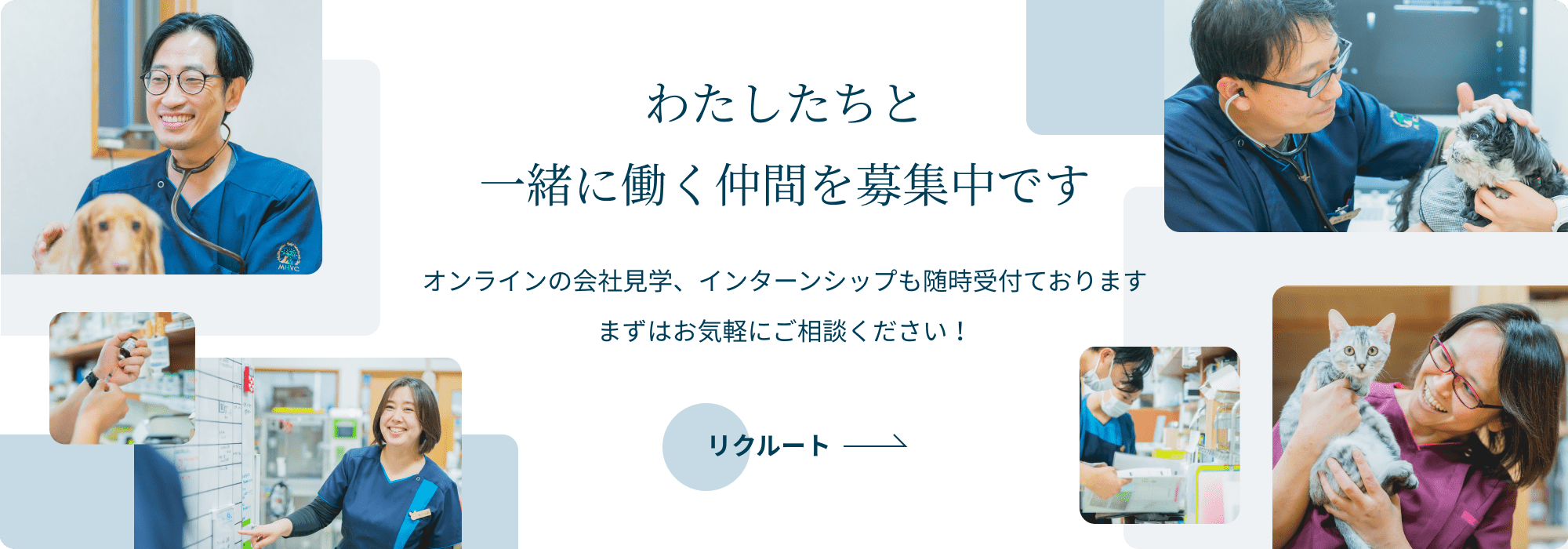 わたしたちと一緒に働く仲間を募集中です