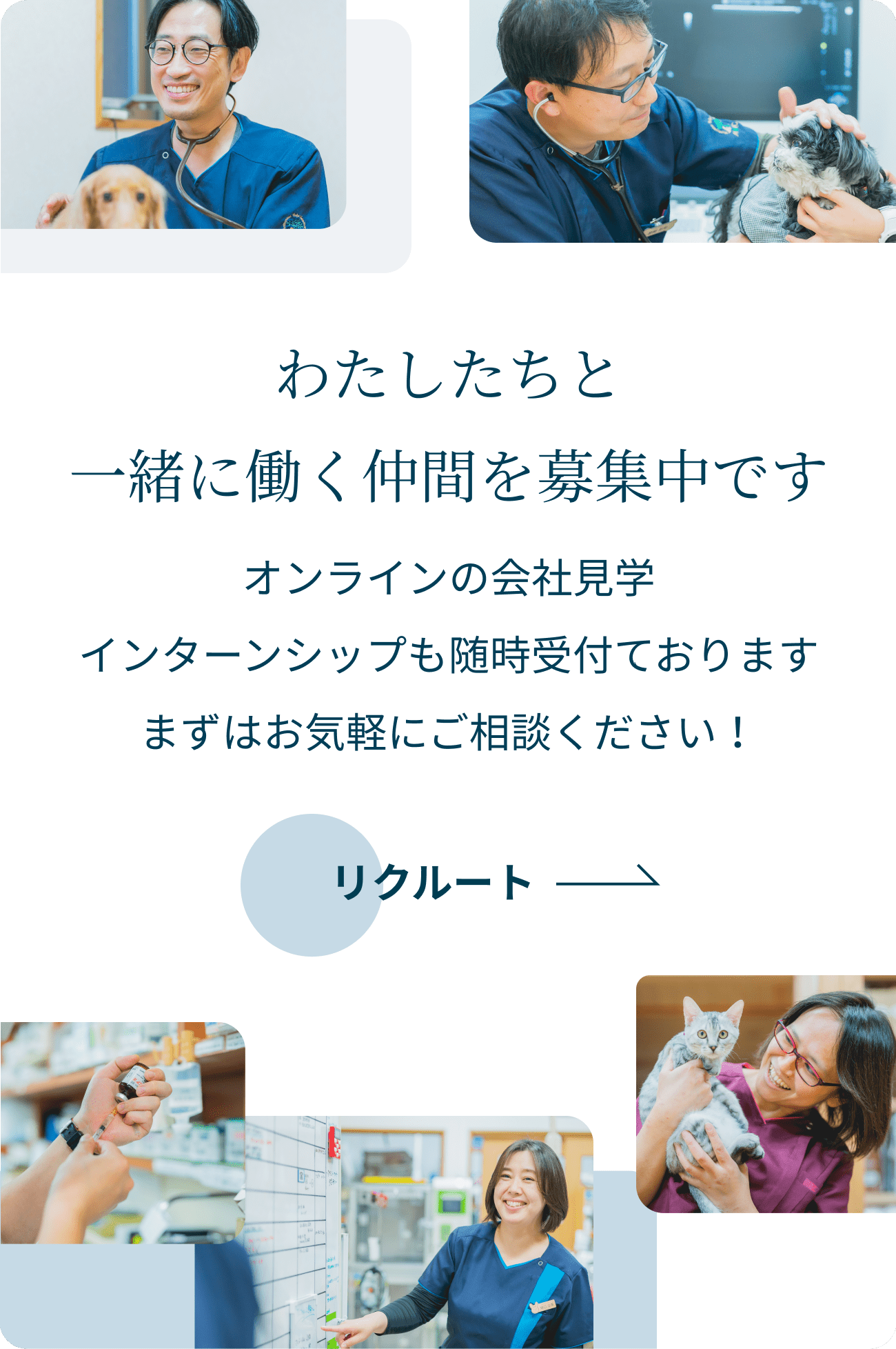 わたしたちと一緒に働く仲間を募集中です