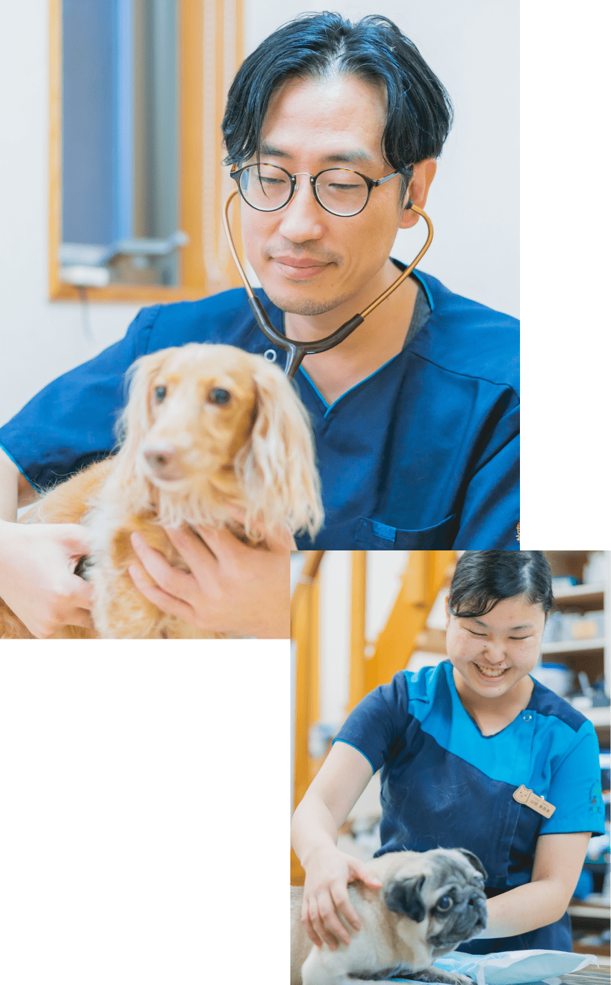 すべては動物のために