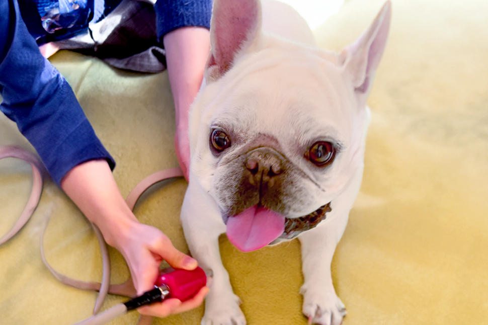 その他ケア・サービス