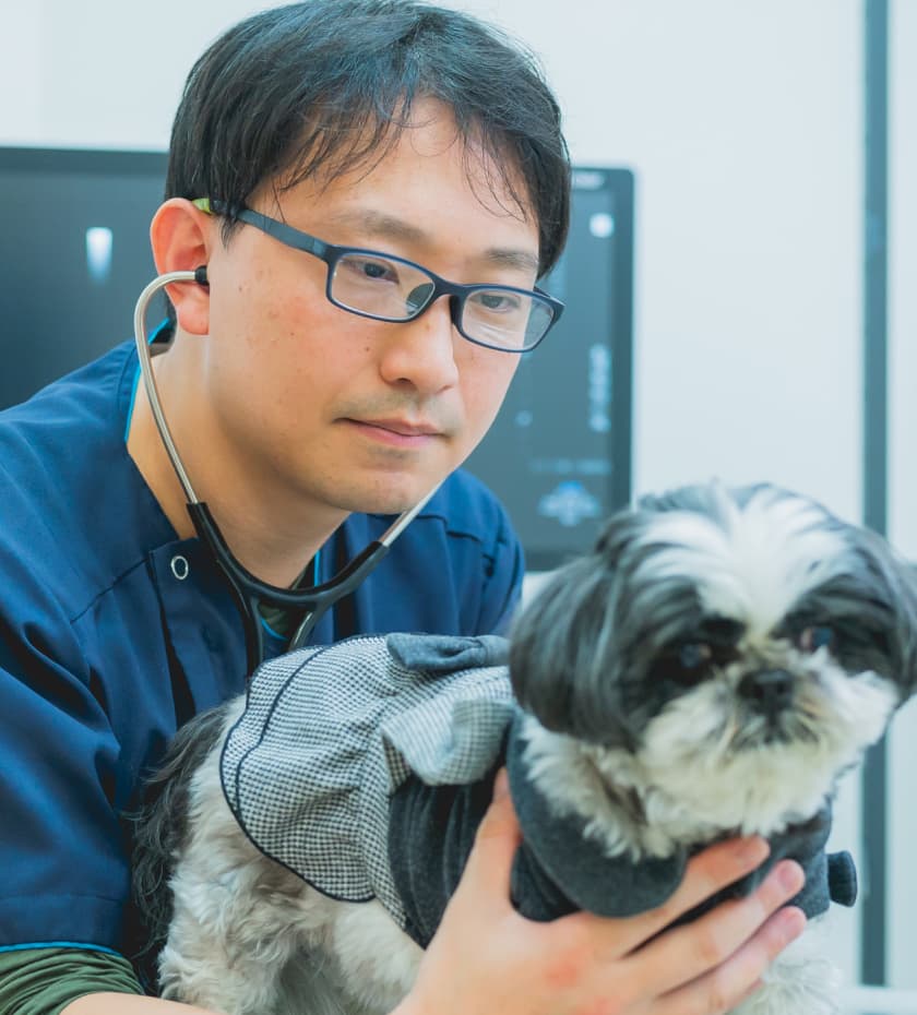 すべては動物のために