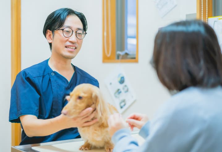 ご相談