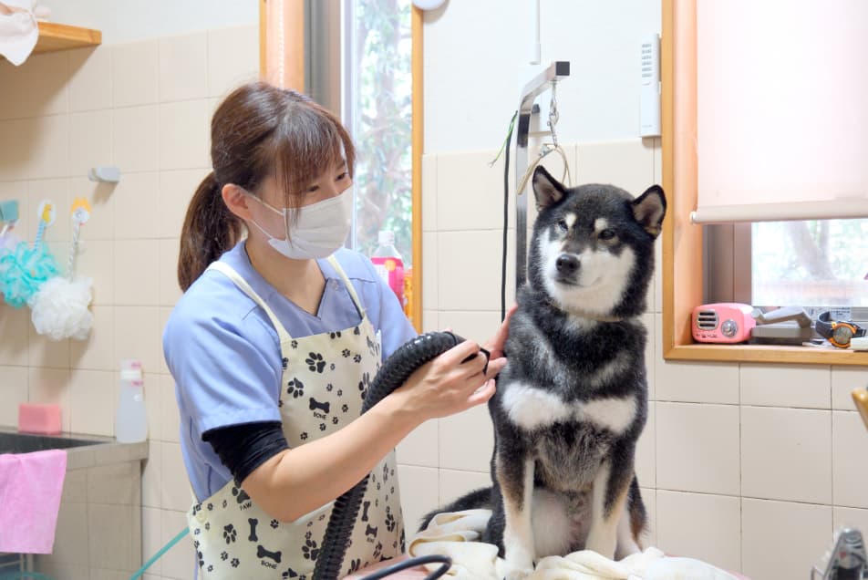 当クリニックのトリミングについて