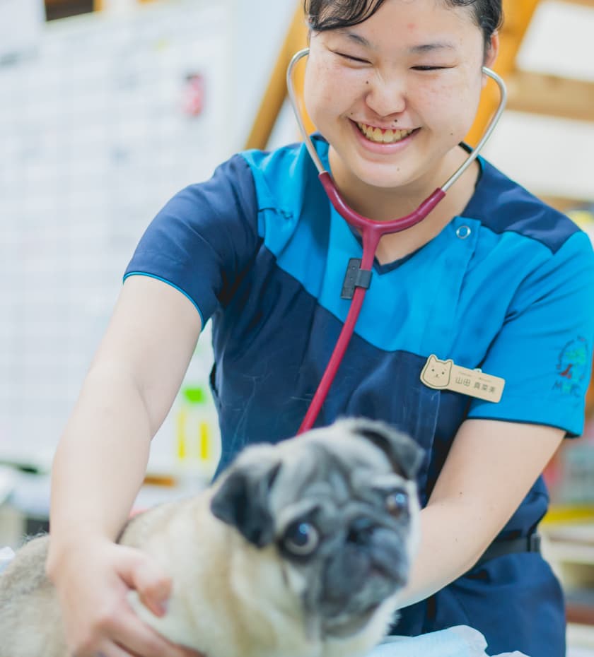 すべては動物のために