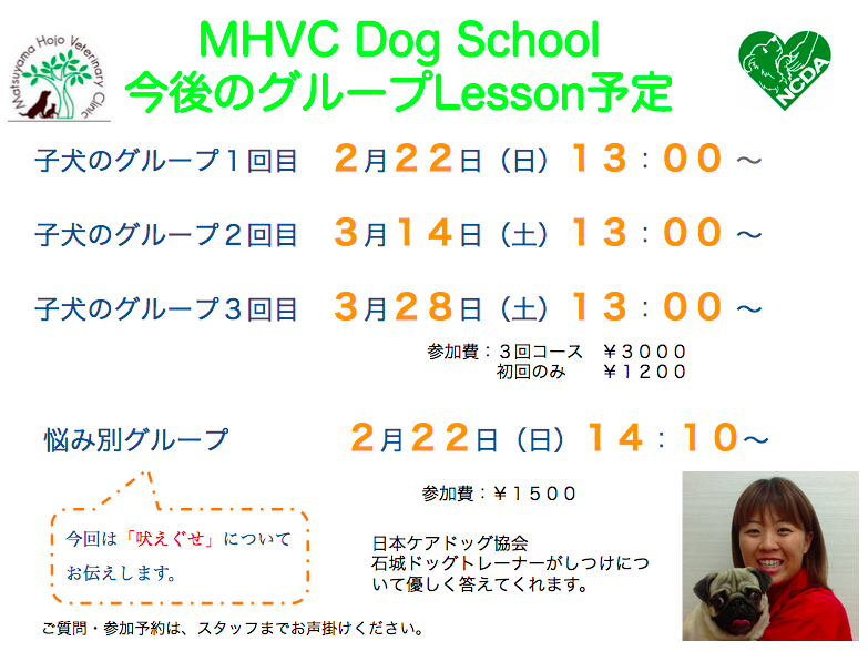２月　MHVC Dog School について