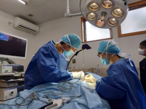 5/28　専門外来軟部外科・橋本Dr、麻酔科・長濱Drにお越しいただきました
