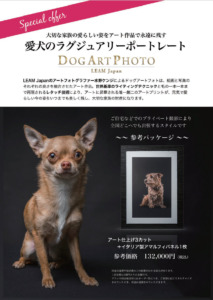 10/11　Love Dog Photo 撮影会 参加ご希望受付中です！！