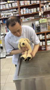 愛玩動物看護師トレーニングと見学・採用について