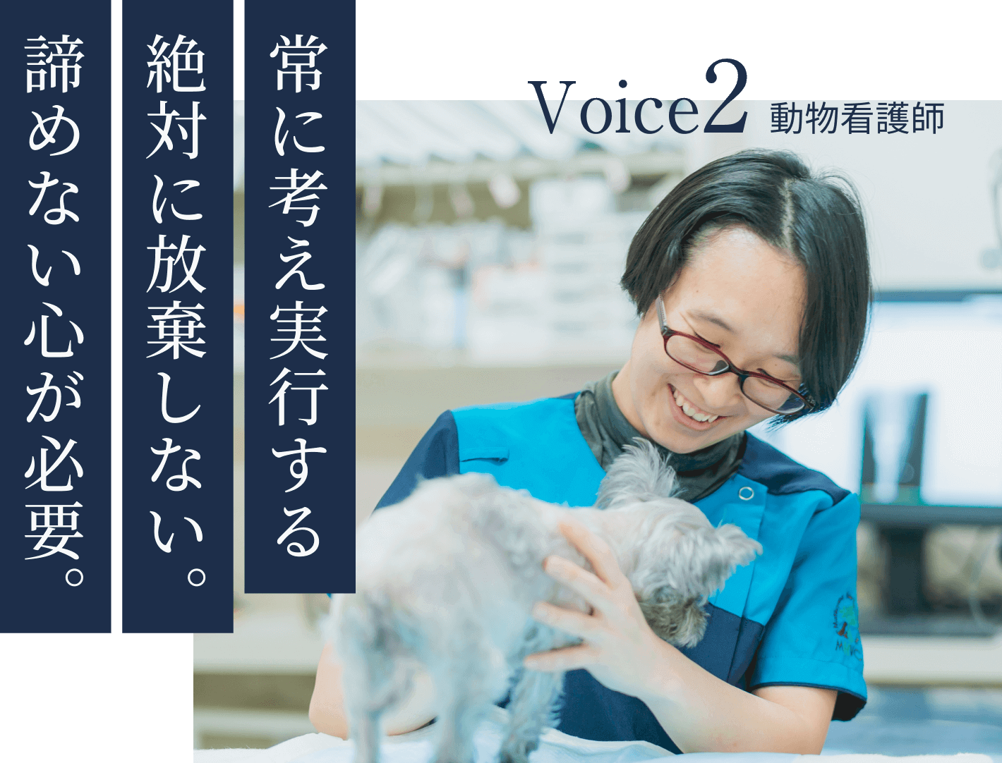Voice2 動物看護師 常に考え実行する絶対に放棄しない。諦めない心が必要。